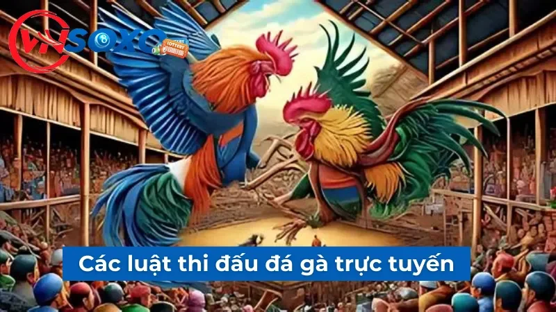 Các luật thi đấu đá gà trực tuyến Các luật thi đấu đá gà trực tuyến