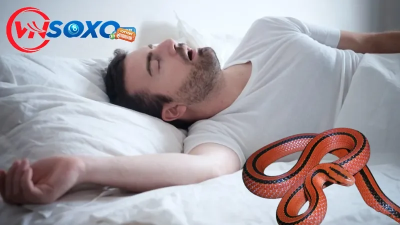 Điềm báo cụ thể khi mơ thấy rắn đỏ Điềm báo cụ thể khi mơ thấy rắn đỏ