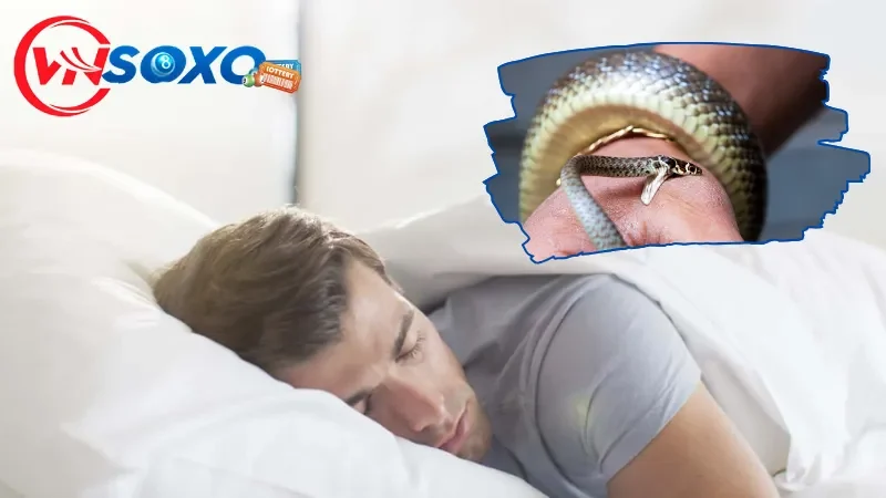 Giải mã chi tiết ý nghĩa giấc ngủ mơ thấy rắn cắn Giải mã chi tiết ý nghĩa giấc ngủ mơ thấy rắn cắn